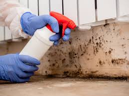 Best Mold Odor Removal Services  in Sussex, WI